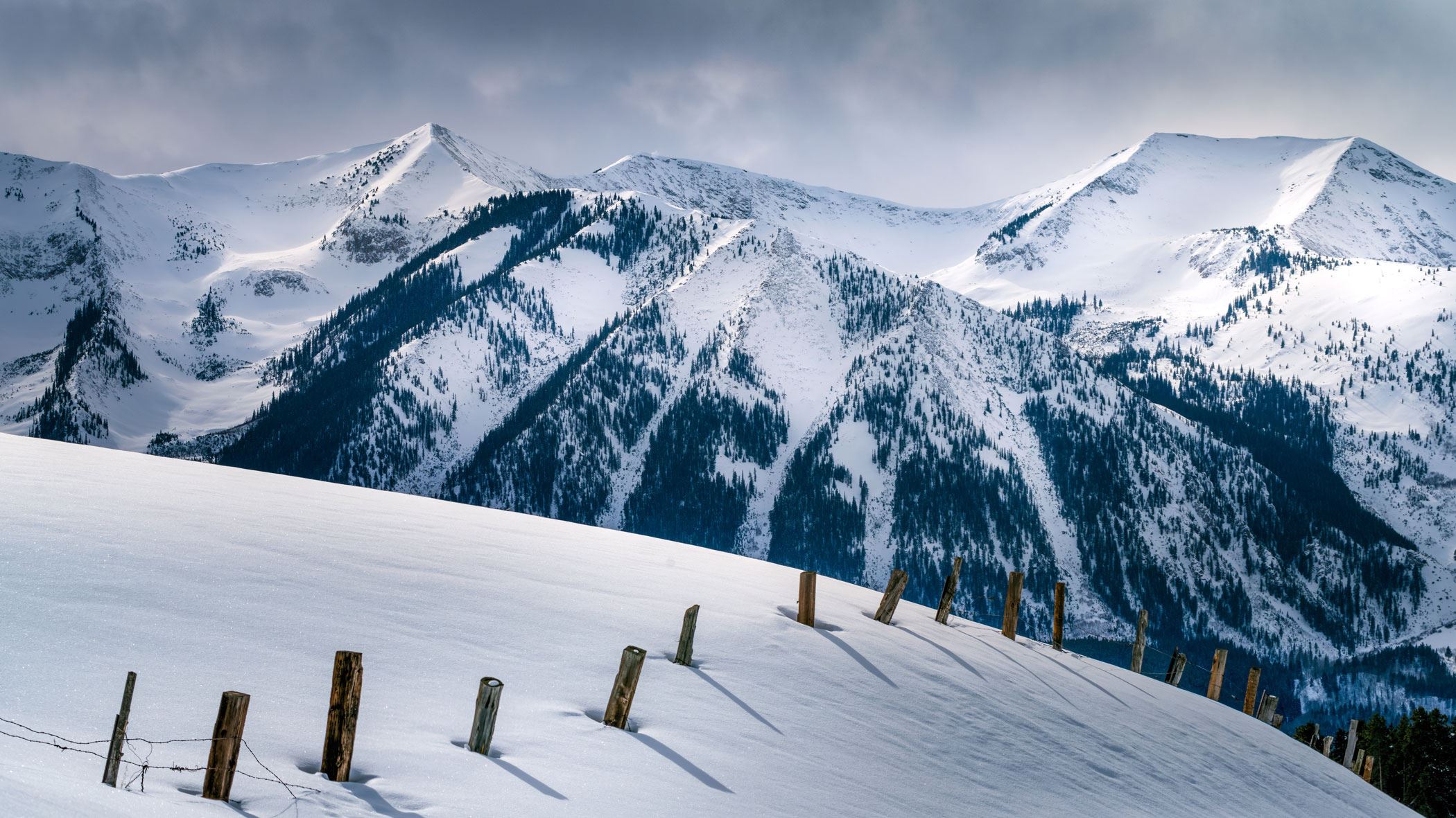 person riding mountain bike through field