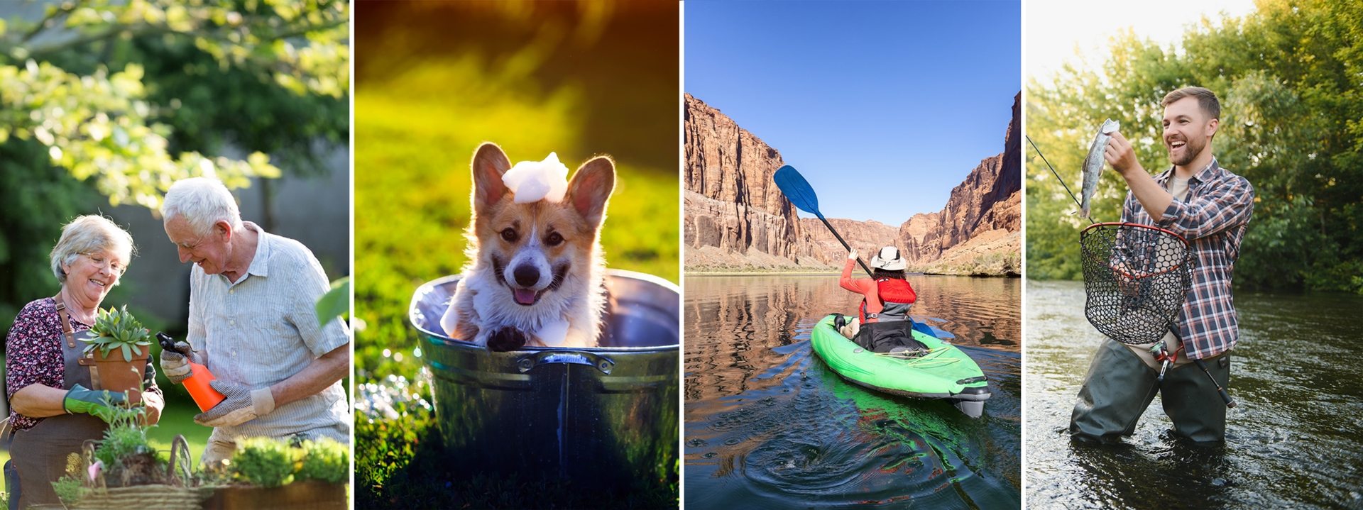 People recreating in summer